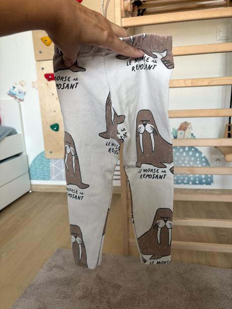 Leginy mrože, zara,86