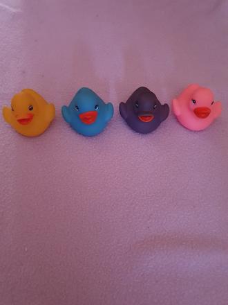 Gumené kačice zs., 