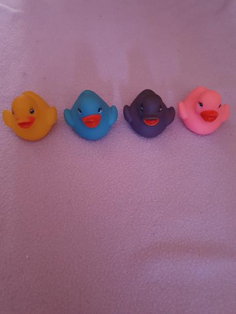 Gumené kačice zs., 