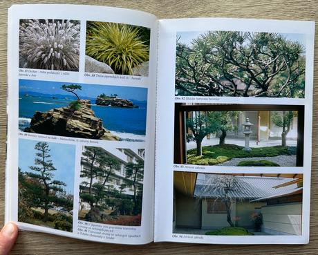 Zahrady v japonském stylu romana číhalová pavel č.,