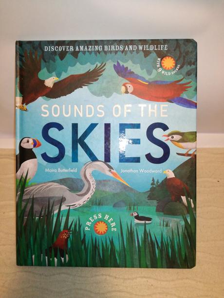 Sounds of the skies zvukova kniha nsu21, 