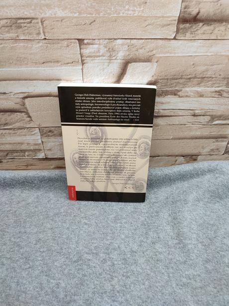 Pred časom - dejiny umenia a anachronizmus obrazov, 