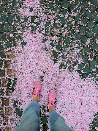 Adidas gazelle, adidas,39