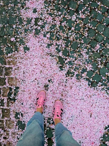 Adidas gazelle, adidas,39