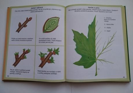 Obrázky z prírody, 