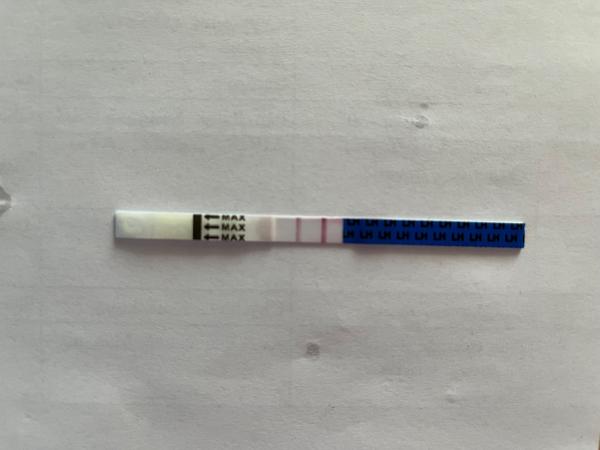 Folikulometria, ovulačné testy