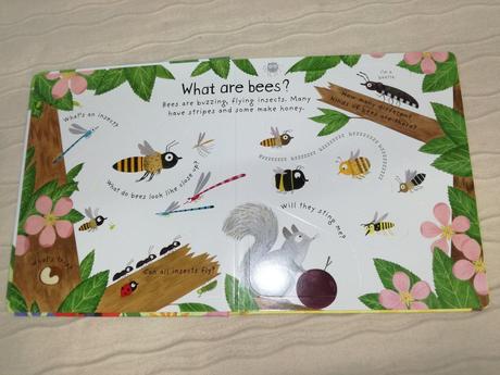Usborne first q&a why do we need bees njul18, 