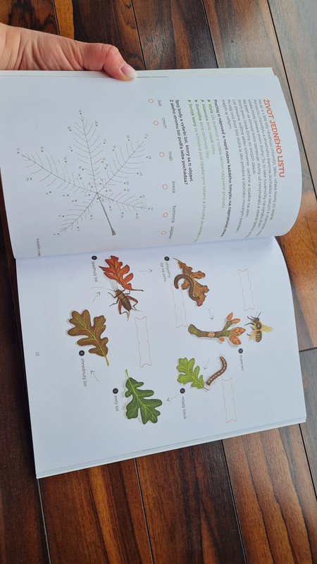 Montessori zosit aktivit stromy,