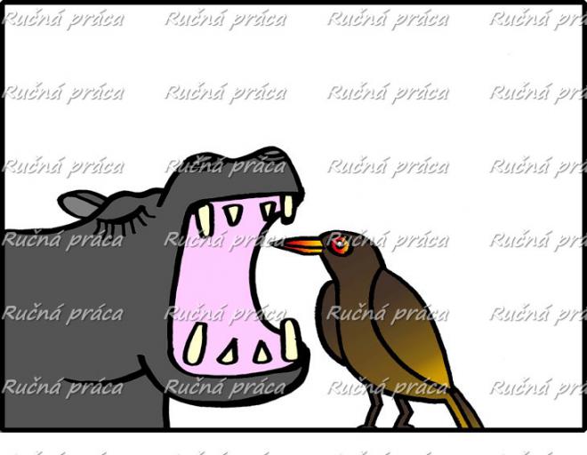 Image title Image title