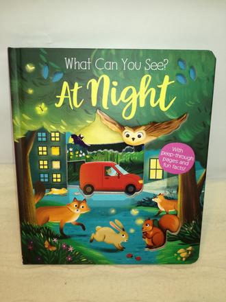 What can you see at night  wi21, 