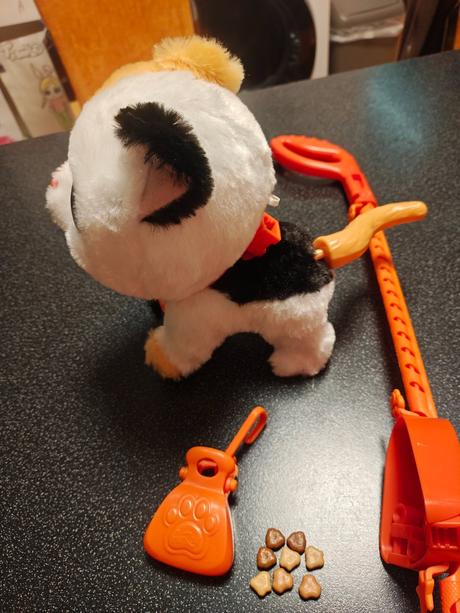 Mačiatko na vodítku, 