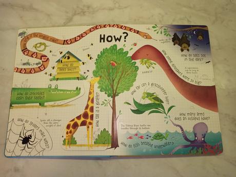 Usborne lift-the-flap - q&a about animals, 