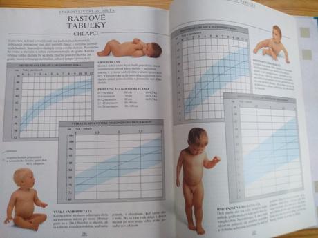 Elizabeth fenwick - veľká kniha o matke a dieťati,