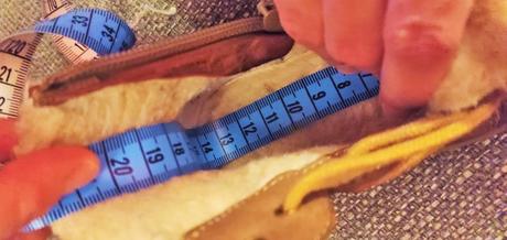 Zimné chlapčenské kožené topánky značky lasocki, lasocki,21