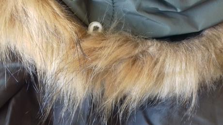 Vetrovka, reserved,158