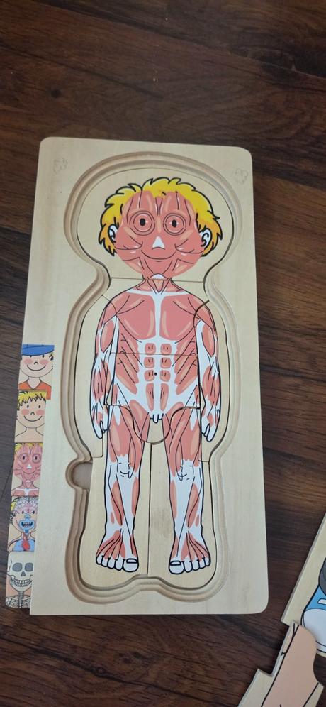 Drevená skladačka puzzle- ľudské telo,