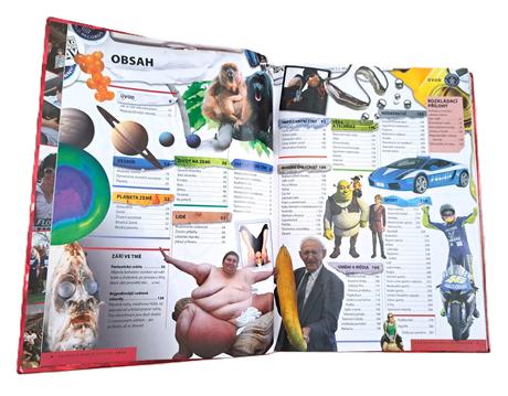 Kniha guinness world records 2008,