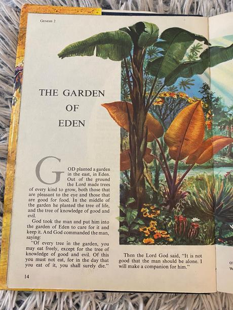 Stará krásna retro the children s bible in colour,