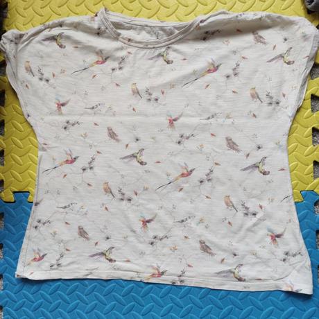 S vtáčikmi, next,146