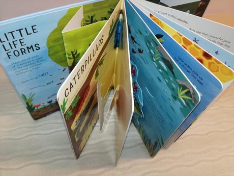 Curious kids pop ups bugs & minibeasts nau20, 