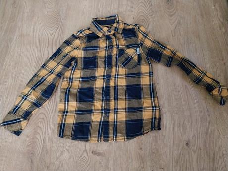 Košela, palomino,128