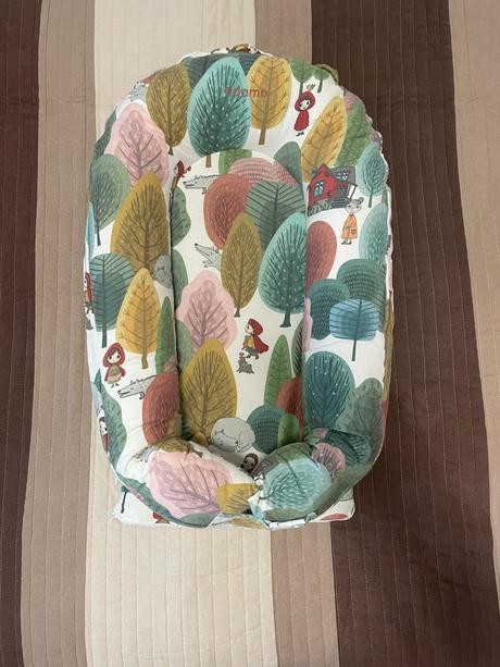 Hniezdo adamo, šírka (cm): 50,dĺžka (cm): 80