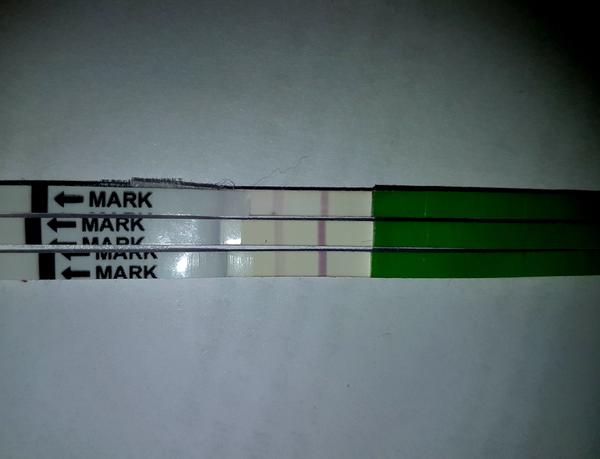 Kto sa vyzná v ovulačných testoch?