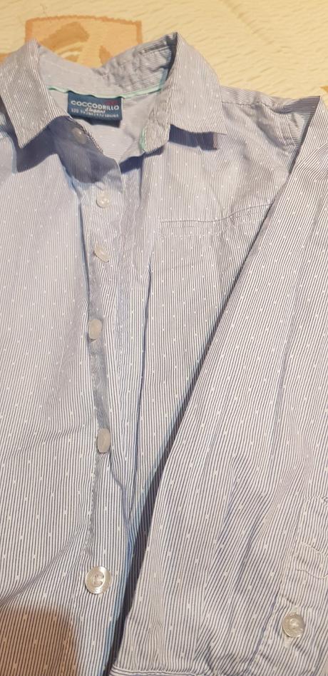 Elegantná košeľa, coccodrillo,122