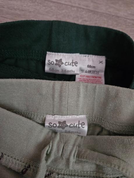 Tenšie tepláčky s dinosauríkmi 68, pepco,68