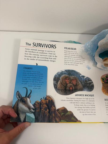 Pop up 3d kniha exreme animals,