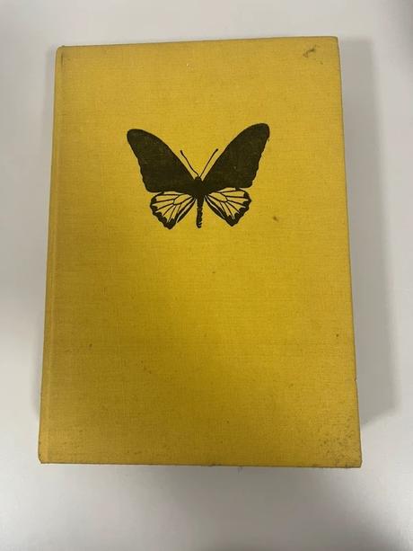 Veľký obrazový atlas hmyzu,