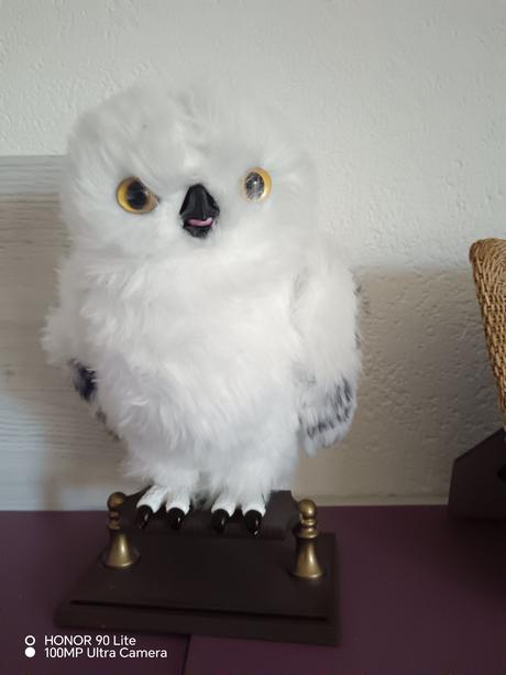 Sova harryho potera, 