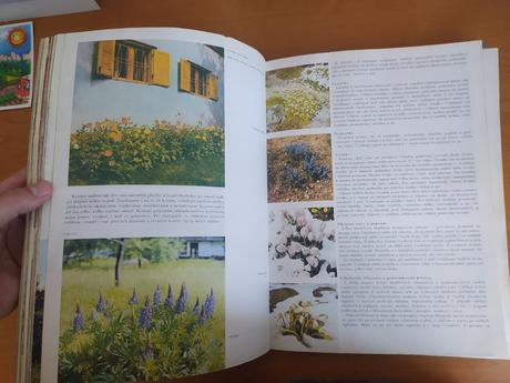 Víkend na chate, v chalupe, pod stanom, 