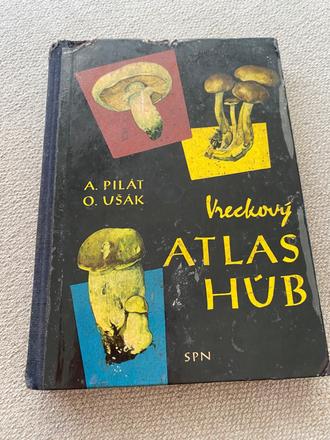 Vreckový atlas húb pilát ušák, 