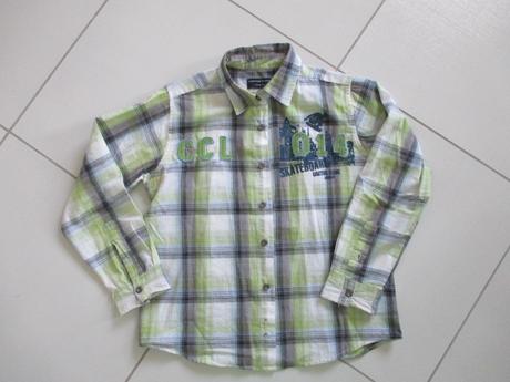 Kosela, cactus clone,134