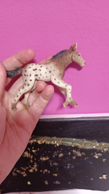 Schleich koniky, 