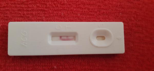 Môžem byť podľa týchto testov tehotná?