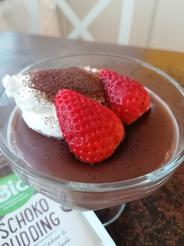 Čokoládový puding dmBio