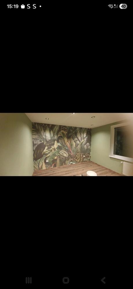 Fototapeta džungla, 