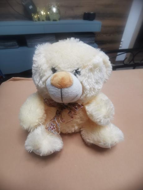 Veľký plyšový medveď,