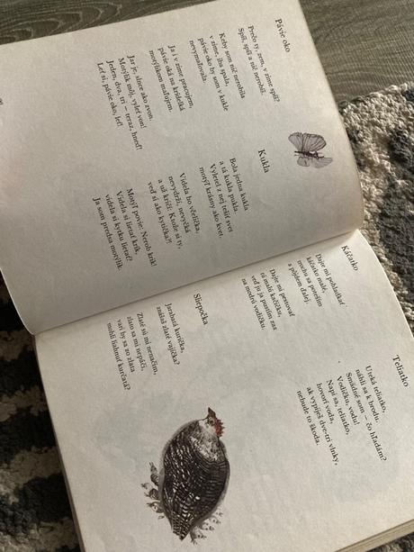 Čarokruh - jan čarek (1983), 