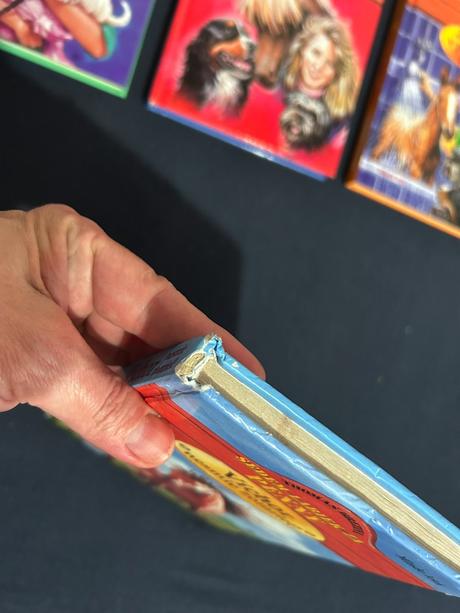 Sada 4 ks knižiek zo série sedem labiek za penny, 