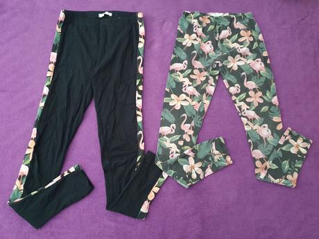 Dvojica legin s plameniakmi, reserved,164