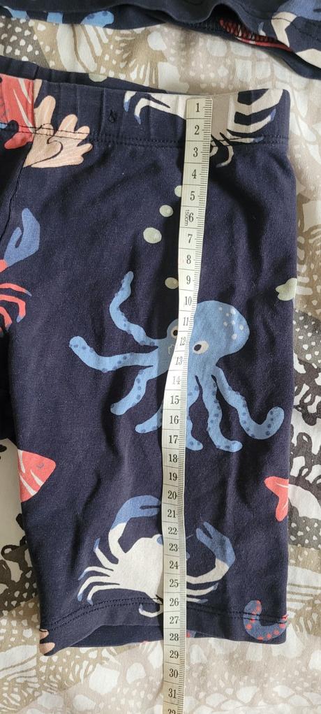 Suprava na leto lindex morske tvory, lindex,128