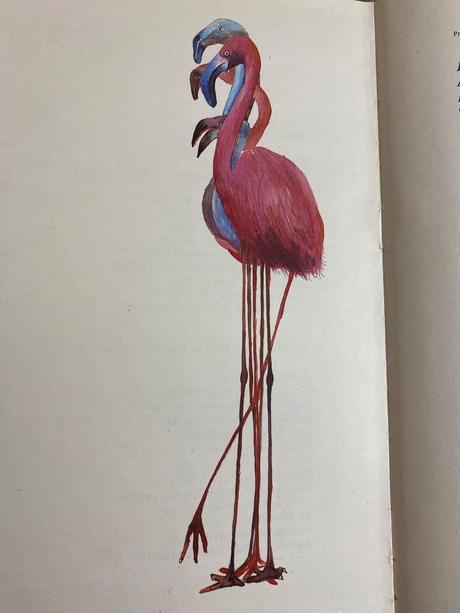 Stará alica v krajine zázrakov lewis carroll 1981,