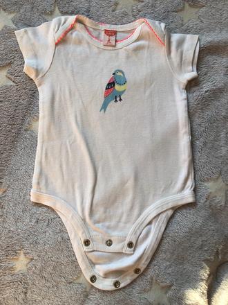 Body 6-9m, 74