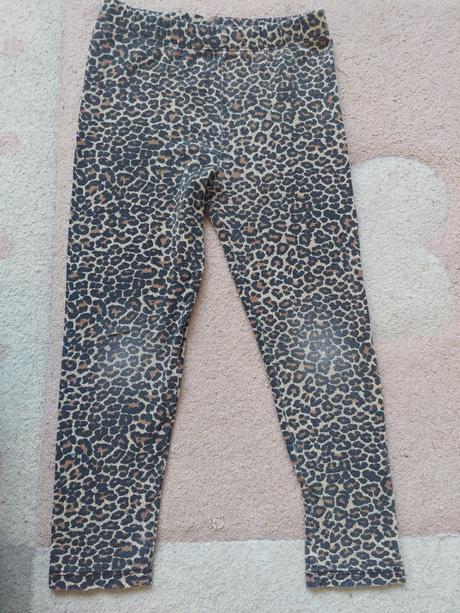 Leo leginy veľ.104, 104