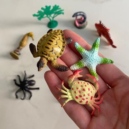 Sada vodných živočíchov + rastlinka,