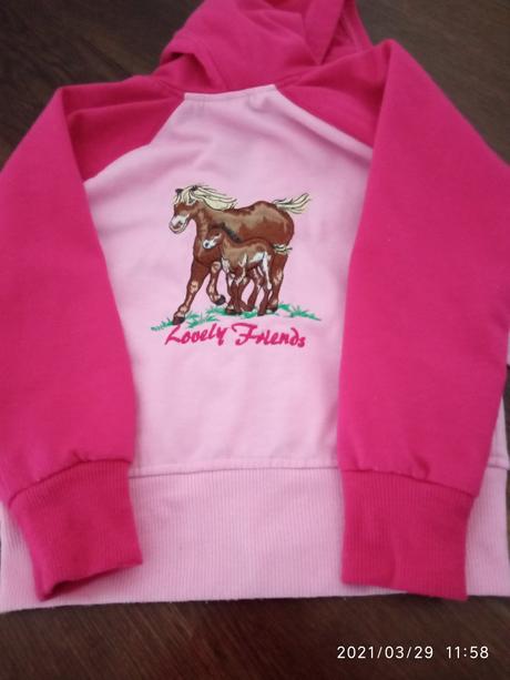 Mikina s konikami, 92