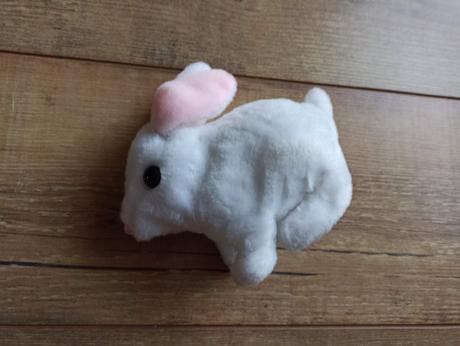 Zajačik - top stav,